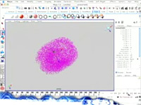 fyzikální dynamika těles