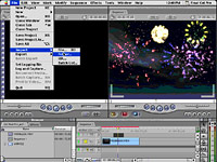 jak používat masku pro video