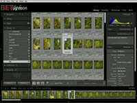 jak si nastavit Lightroom