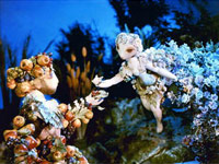 škola Jiřího Trnky