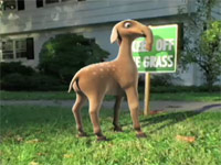 pokročilé 3D modelování