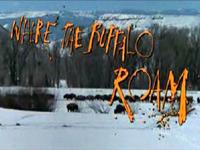 Tam kde řvou bizoni