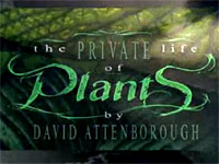 Soukromý život rostlin