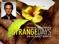 Podivné dny na Zemi