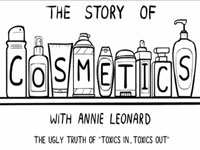 Příběh kosmetiky