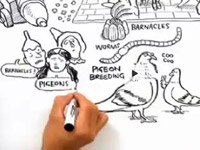 Darwinistická teorie krásy