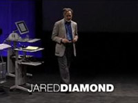 Proč se společnosti hroutí