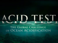 Globální výzva o překyselení oceánu