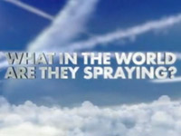 Co to na svět sprejují?