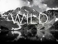 Divočina objektivem Petra Slavíka