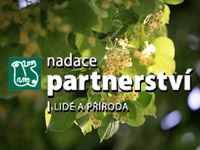 Nadace Partnerství