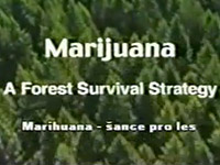 Marihuana - šance pro les