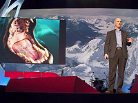 Příběhy zakleté pod ledem