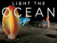 Kdo vlastní oceán?