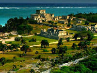 Krása tohoto světa