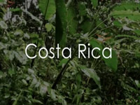 Kostarika