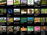 Stromy, lesy, džungle, pralesy