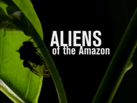 Vetřelci z Amazonie