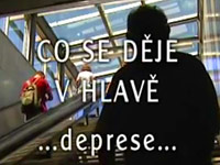 Co se děje v hlavě