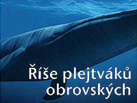 Říše plejtváků obrovských 