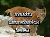 Strážci beskydských šelem