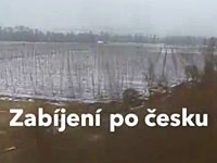 Zabíjení po česku