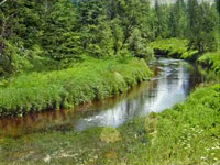 Bedřich Smetana: Vltava