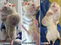 Lepšie zdrava strava ako nože