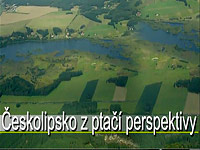 Ornitologie na Českolipsku