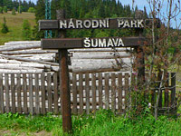 Nalezeni na ztraceném