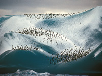 Neklid v Antarktidě