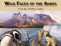 Nezkrotná tvář And